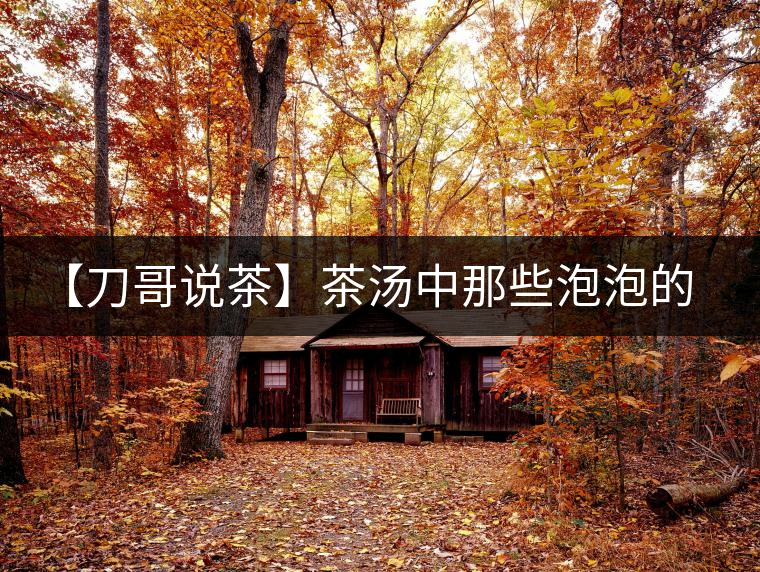 【刀哥說茶】茶湯中那些泡泡的始作俑者,茶皂素只是其中一個(gè) 【刀哥說茶】茶湯中那些泡泡的始作俑者,茶皂素只是其中一個(gè)