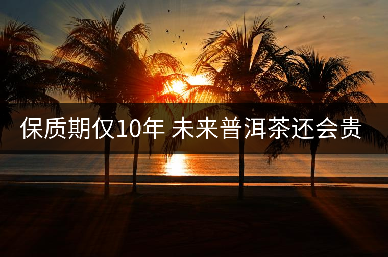 保質(zhì)期僅10年 未來普洱茶還會(huì)貴嗎? 保質(zhì)期僅10年 未來普洱茶還會(huì)貴嗎?