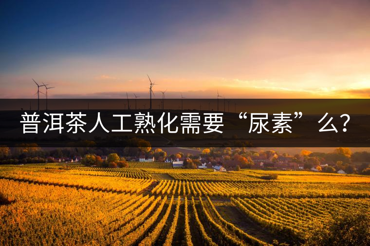 普洱茶人工熟化需要“尿素”么？