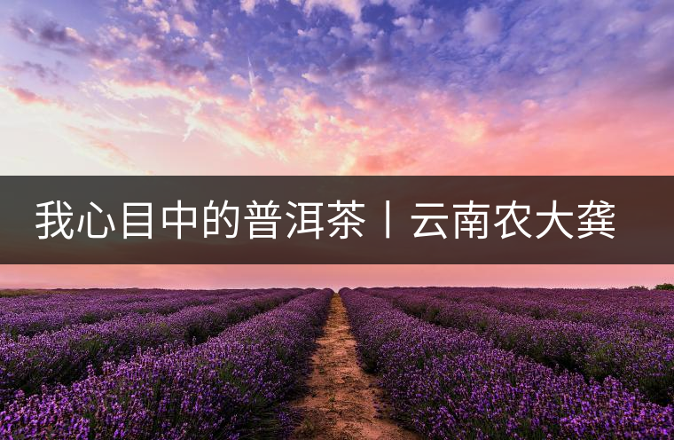 我心目中的普洱茶丨云南農(nóng)大龔加順教授解密普洱熟茶 我心目中的普洱茶丨云南農(nóng)大龔加順教授解密普洱熟茶