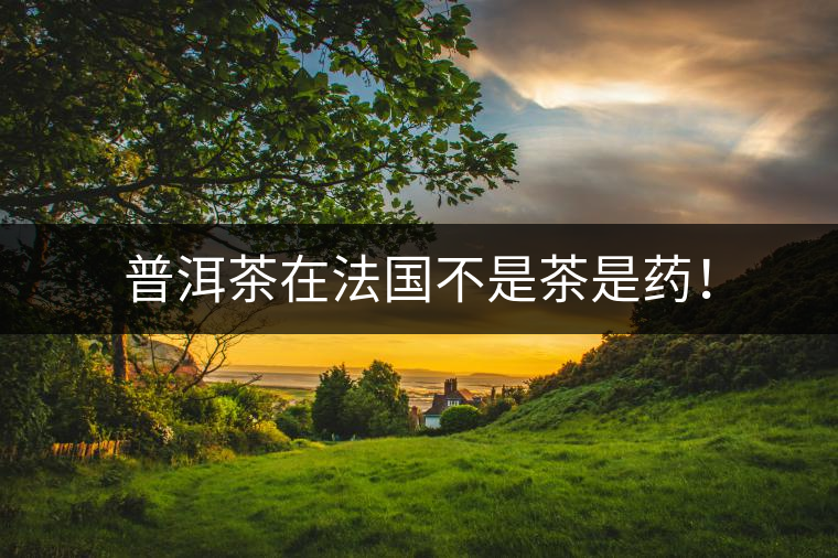 普洱茶在法國不是茶是藥！