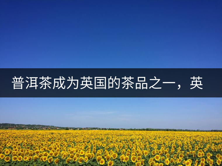 普洱茶成為英國的茶品之一，英國雜志給出7大理由