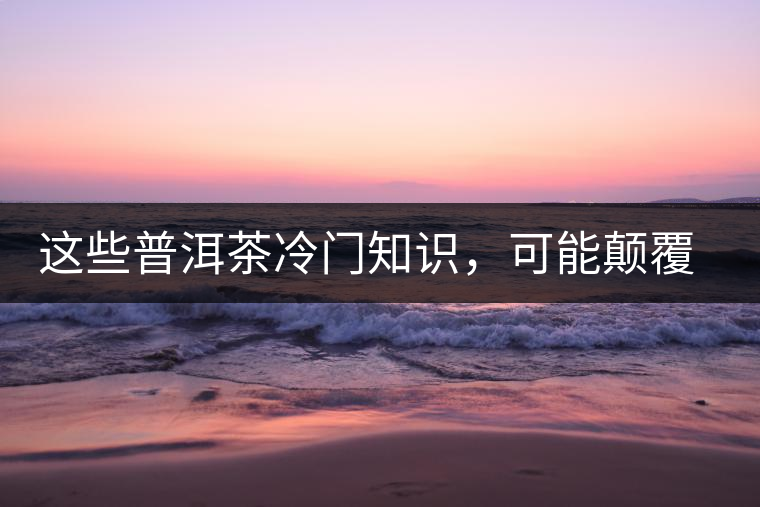 這些普洱茶冷門知識，可能顛覆你對普洱茶的認知