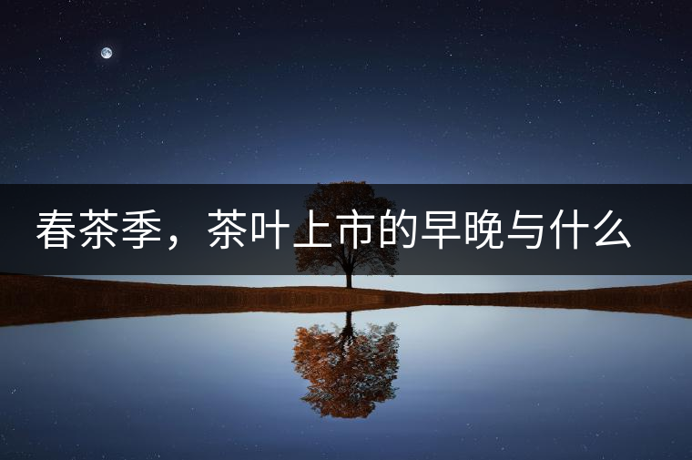 春茶季，茶葉上市的早晚與什么有關