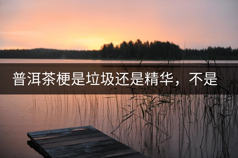 普洱茶梗是垃圾還是精華，不是一個人說的算