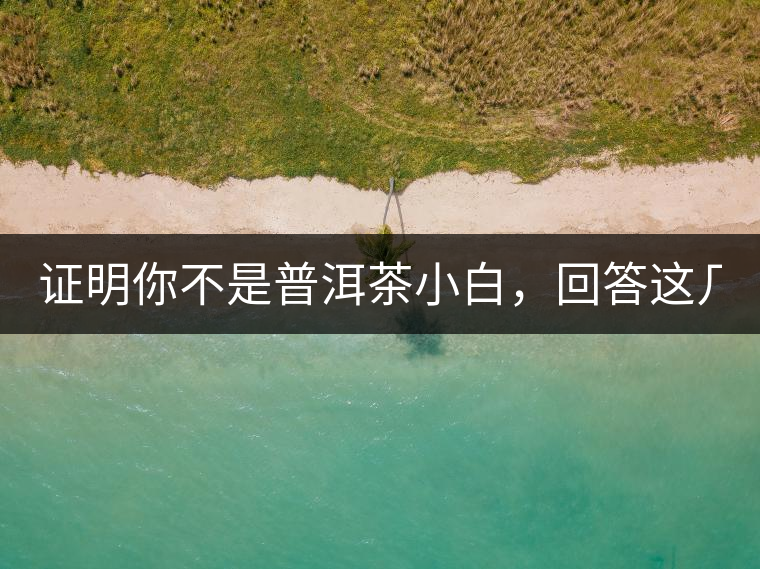 證明你不是普洱茶小白，回答這幾個(gè)問題先！