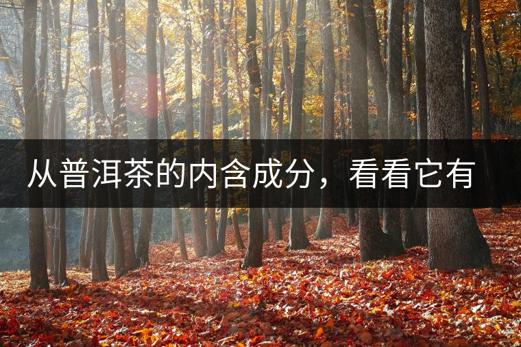 從普洱茶的內含成分，看看它有什么功效？