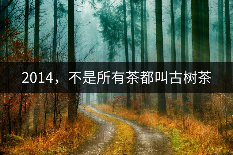 2014，不是所有茶都叫古樹茶