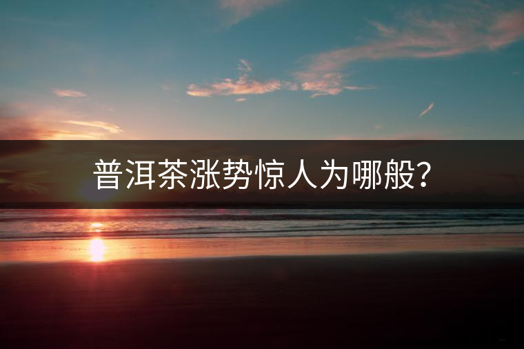 普洱茶漲勢(shì)驚人為哪般？