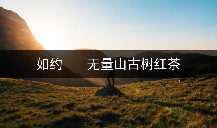 如約——無量山古樹紅茶 如約——無量山古樹紅茶