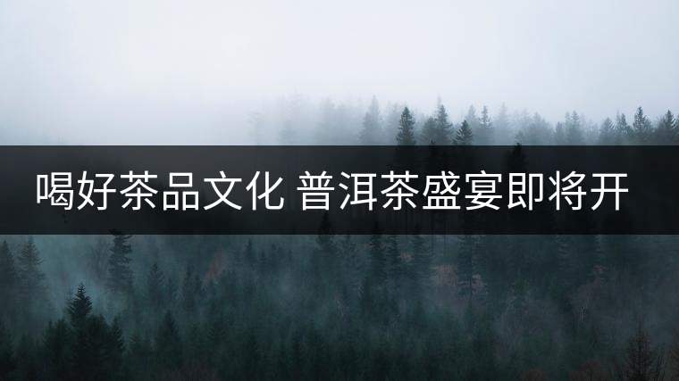 喝好茶品文化 普洱茶盛宴即將開(kāi)場(chǎng) 喝好茶品文化 普洱茶盛宴即將開(kāi)場(chǎng)