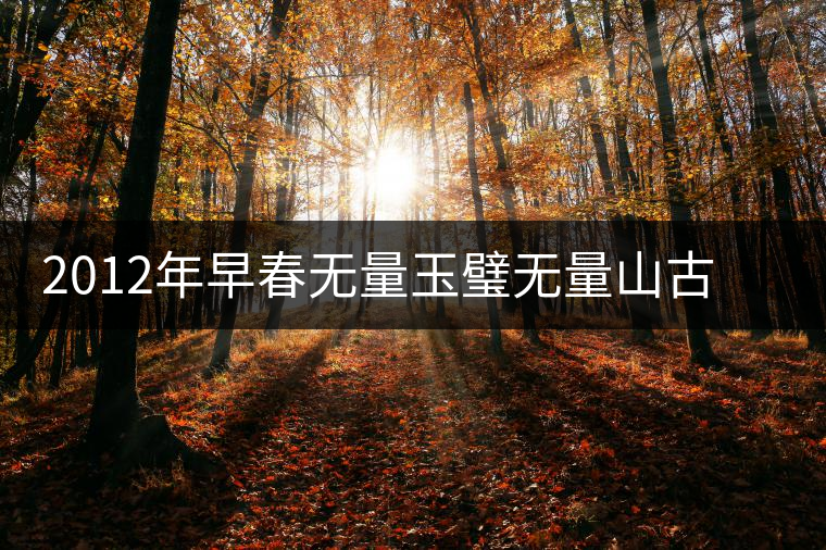 2012年早春無量玉璧無量山古樹純料普洱茶生茶餅 2012年早春無量玉璧無量山古樹純料普洱茶生茶餅