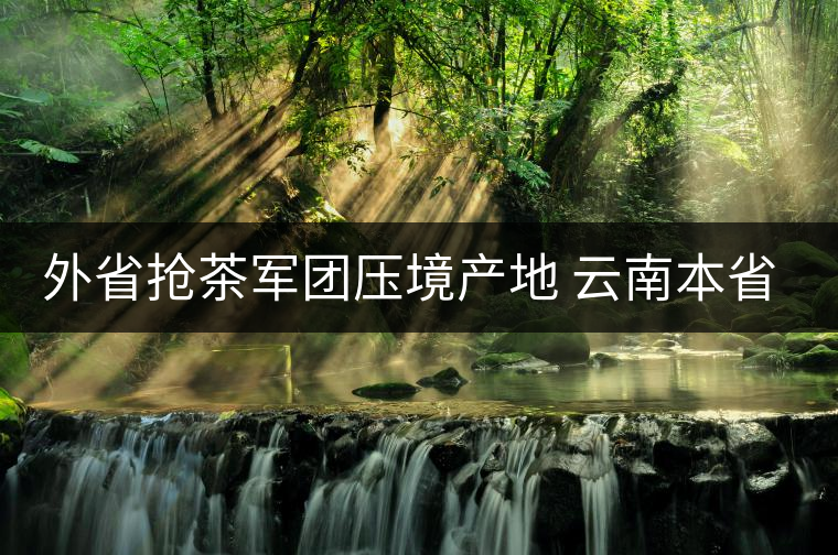 外省搶茶軍團(tuán)壓境產(chǎn)地 云南本省茶商欲靠品牌逆襲 外省搶茶軍團(tuán)壓境產(chǎn)地 云南本省茶商欲靠品牌逆襲