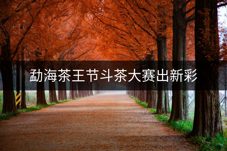勐海茶王節(jié)斗茶大賽出新彩 勐海茶王節(jié)斗茶大賽出新彩