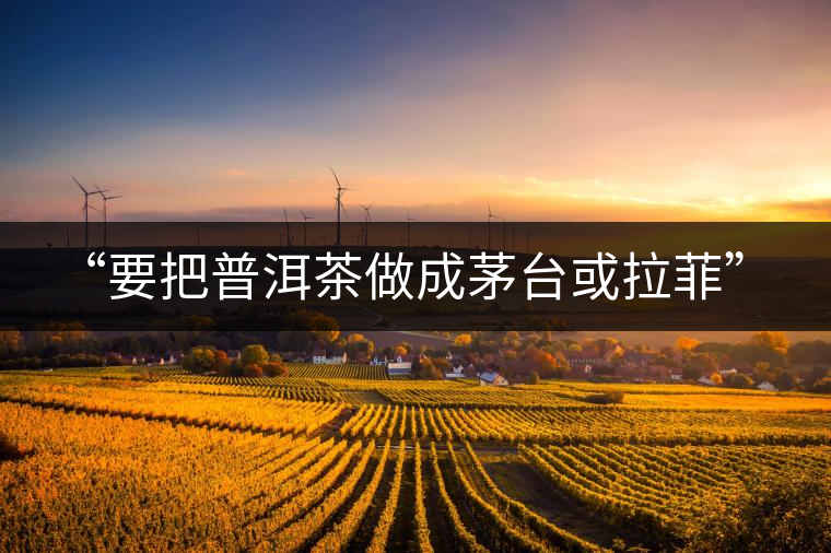 “要把普洱茶做成茅臺或拉菲” “要把普洱茶做成茅臺或拉菲”