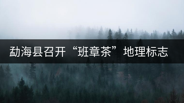 勐?？h召開“班章茶”地理標(biāo)志認(rèn)證評(píng)審會(huì)