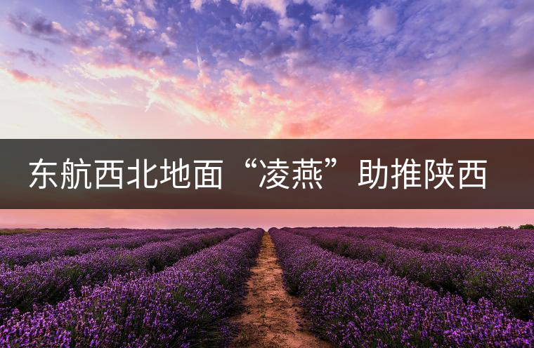 東航西北地面“凌燕”助推陜西省文化節(jié)開幕