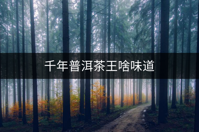 千年普洱茶王啥味道 千年普洱茶王啥味道