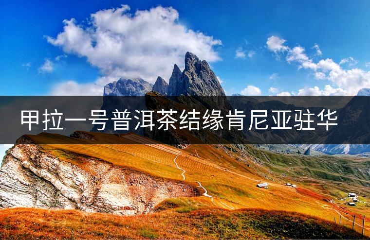 甲拉一號(hào)普洱茶結(jié)緣肯尼亞駐華專(zhuān)員