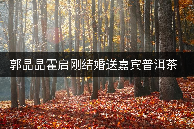 郭晶晶霍啟剛結(jié)婚送嘉賓普洱茶當禮物