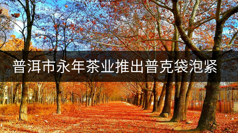 普洱市永年茶業(yè)推出普克袋泡緊壓茶 普洱市永年茶業(yè)推出普克袋泡緊壓茶