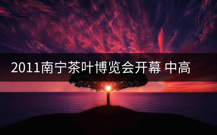 2011南寧茶葉博覽會(huì)開(kāi)幕 中高檔普洱茶受追捧 2011南寧茶葉博覽會(huì)開(kāi)幕 中高檔普洱茶受追捧