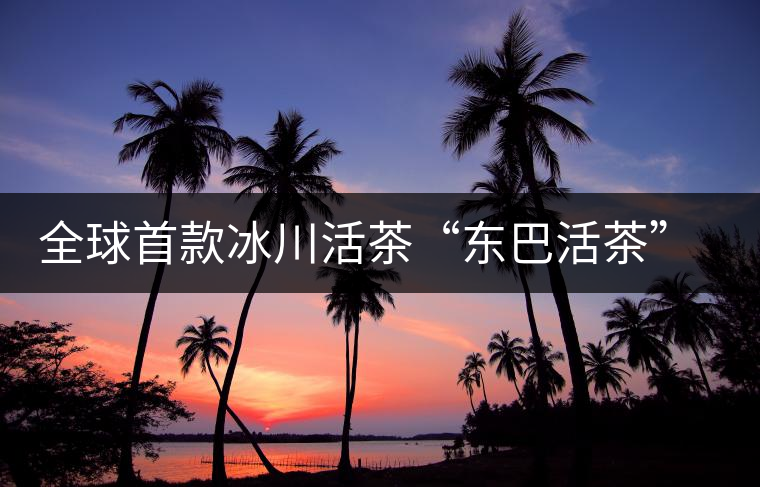 全球首款冰川活茶“東巴活茶”上市 全球首款冰川活茶“東巴活茶”上市