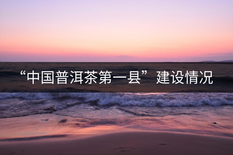“中國普洱茶第一縣”建設(shè)情況匯報(bào) “中國普洱茶第一縣”建設(shè)情況匯報(bào)