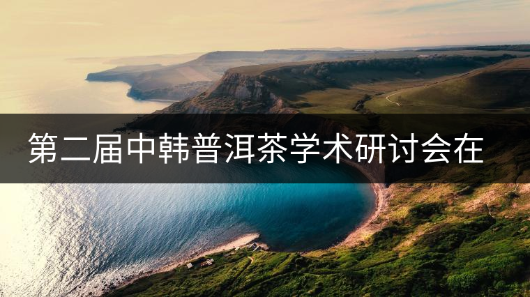 第二屆中韓普洱茶學(xué)術(shù)研討會在首爾舉行 第二屆中韓普洱茶學(xué)術(shù)研討會在首爾舉行