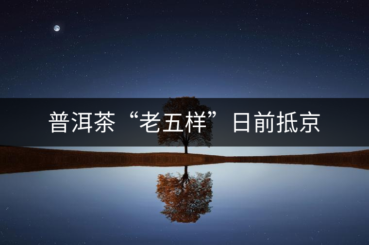 普洱茶“老五樣”日前抵京