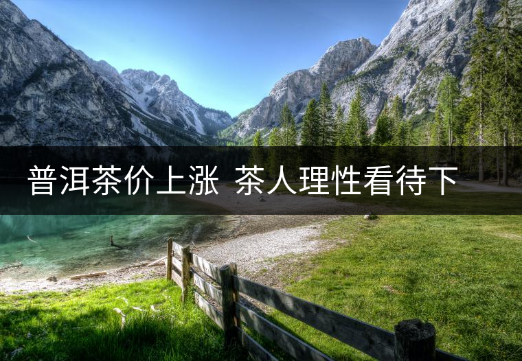 普洱茶價(jià)上漲 茶人理性看待下輪高峰 普洱茶價(jià)上漲 茶人理性看待下輪高峰