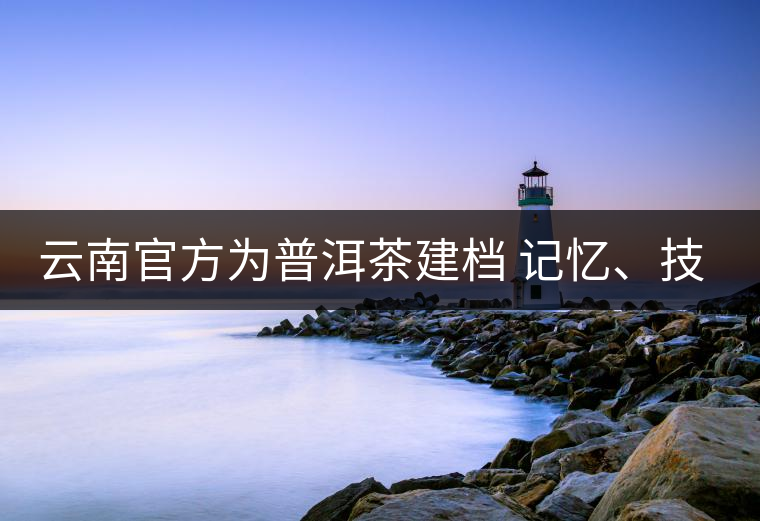 云南官方為普洱茶建檔 記憶、技藝雙傳承