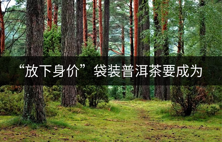 “放下身價”袋裝普洱茶要成為大眾飲品 “放下身價”袋裝普洱茶要成為大眾飲品