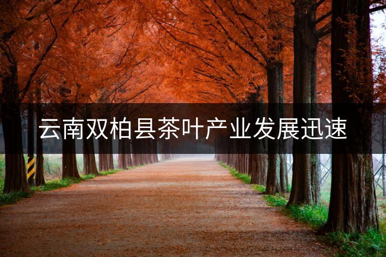 云南雙柏縣茶葉產(chǎn)業(yè)發(fā)展迅速 云南雙柏縣茶葉產(chǎn)業(yè)發(fā)展迅速