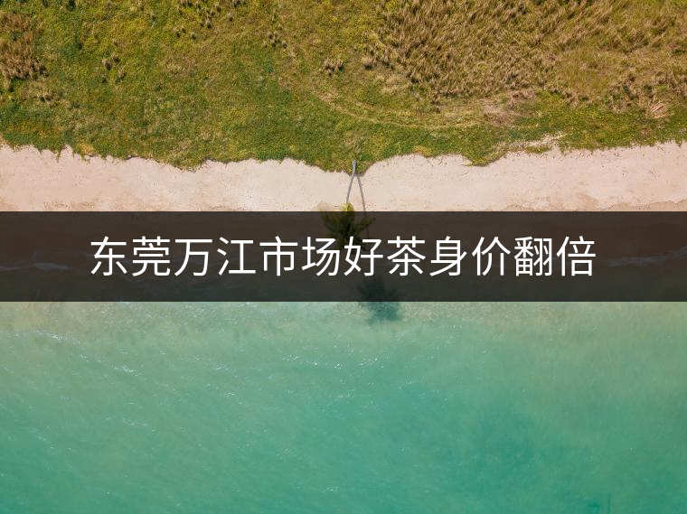 東莞萬(wàn)江市場(chǎng)好茶身價(jià)翻倍