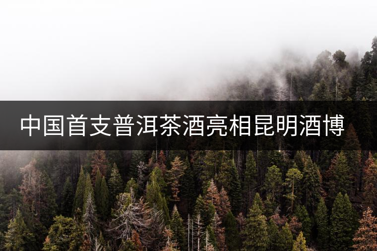 中國(guó)首支普洱茶酒亮相昆明酒博會(huì) 中國(guó)首支普洱茶酒亮相昆明酒博會(huì)