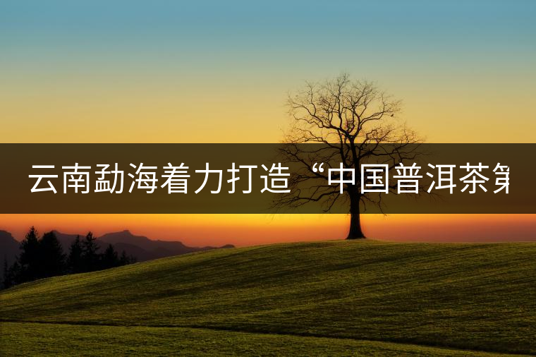 云南勐海著力打造“中國(guó)普洱茶第一縣” 云南勐海著力打造“中國(guó)普洱茶第一縣”