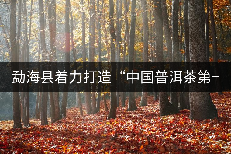 勐??h著力打造“中國普洱茶第一縣” 勐海縣著力打造“中國普洱茶第一縣”