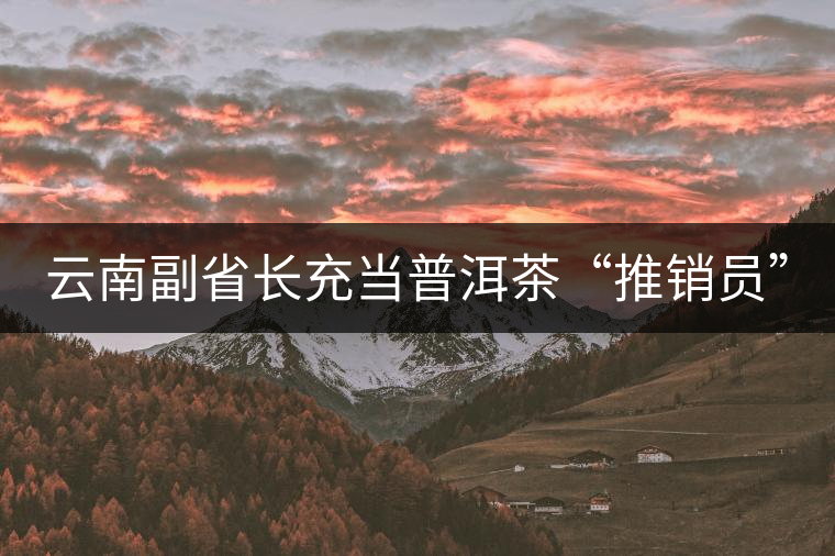 云南副省長(zhǎng)充當(dāng)普洱茶“推銷員”