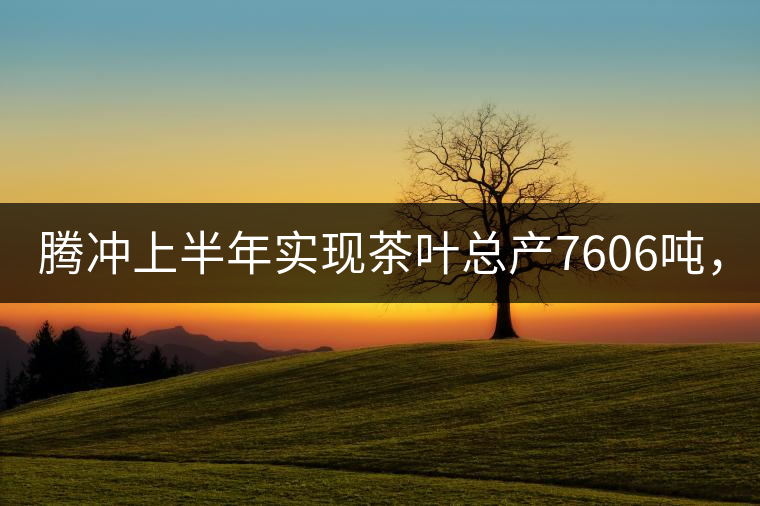 騰沖上半年實(shí)現(xiàn)茶葉總產(chǎn)7606噸，總產(chǎn)值5.58億元