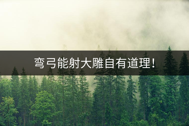 彎弓能射大雕自有道理！