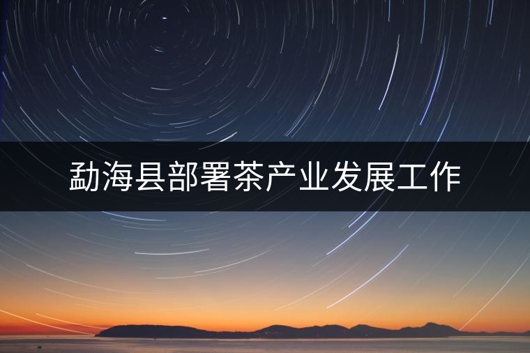 勐?？h部署茶產(chǎn)業(yè)發(fā)展工作