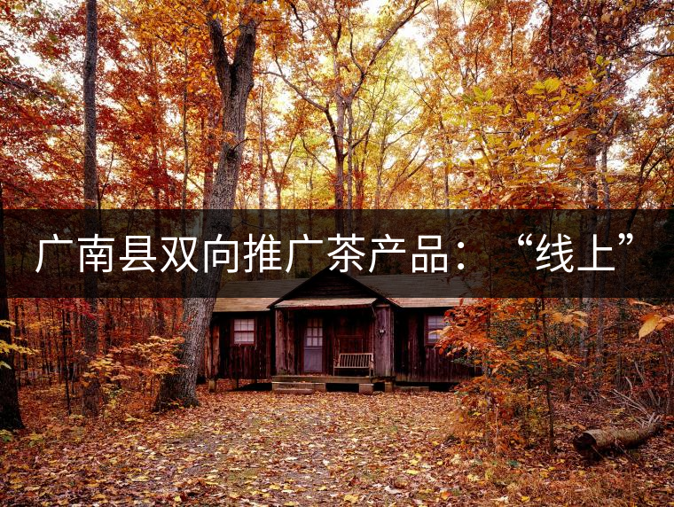 廣南縣雙向推廣茶產(chǎn)品：“線上”銷售茶葉已有100多家，“線下”銷售額已達(dá)百萬(wàn)