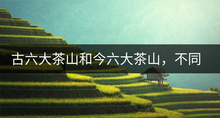 古六大茶山和今六大茶山，不同普洱茶品質(zhì)