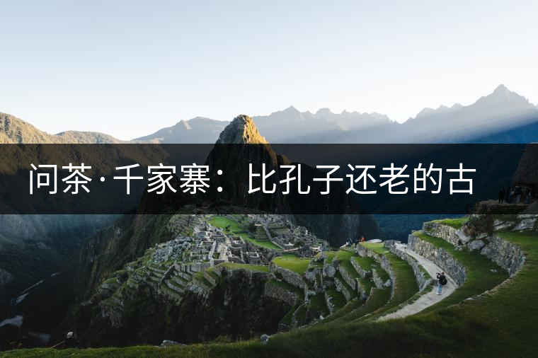 問(wèn)茶·千家寨：比孔子還老的古茶樹(shù)