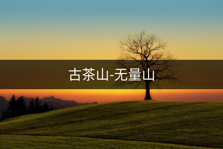 古茶山-無(wú)量山 古茶山-無(wú)量山