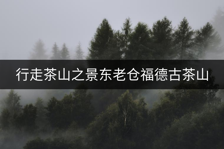 行走茶山之景東老倉(cāng)福德古茶山 行走茶山之景東老倉(cāng)福德古茶山