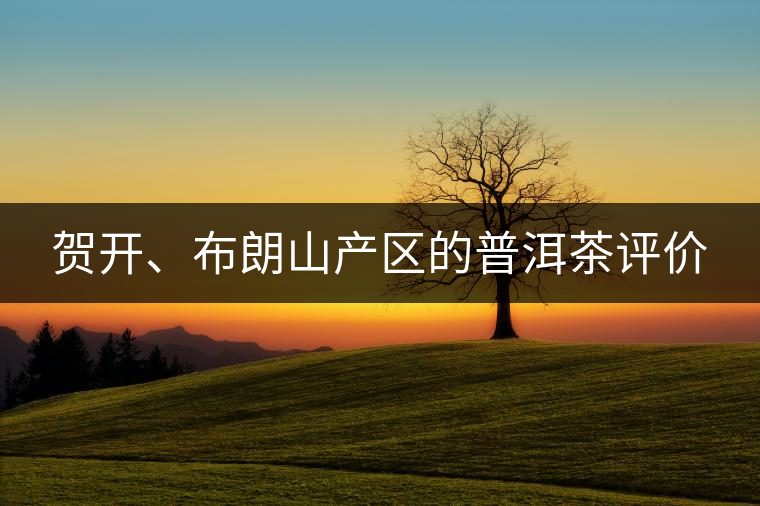 賀開(kāi)、布朗山產(chǎn)區(qū)的普洱茶評(píng)價(jià)