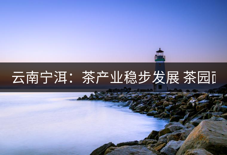 云南寧洱:茶產(chǎn)業(yè)穩(wěn)步發(fā)展 茶園面積達(dá)14.1萬(wàn)畝 云南寧洱:茶產(chǎn)業(yè)穩(wěn)步發(fā)展 茶園面積達(dá)14.1萬(wàn)畝