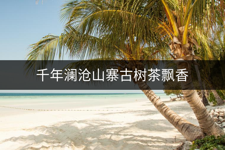 千年瀾滄山寨古樹茶飄香 千年瀾滄山寨古樹茶飄香